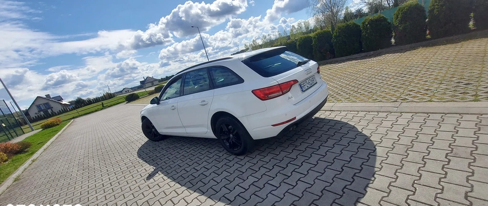 Audi A4 cena 72900 przebieg: 112000, rok produkcji 2017 z Malbork małe 277